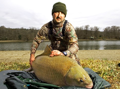 buffallo carp.jpg